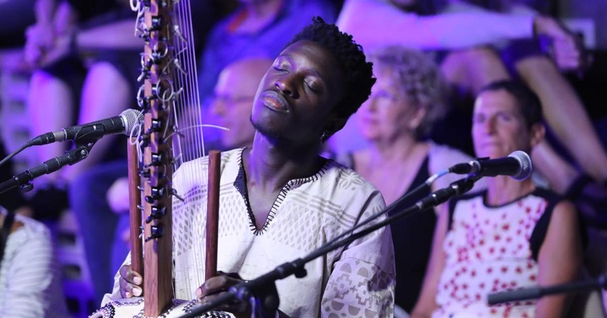 Kora : à la recherche des origines du célèbre instrument de musique à  cordes d'Afrique de l'Ouest